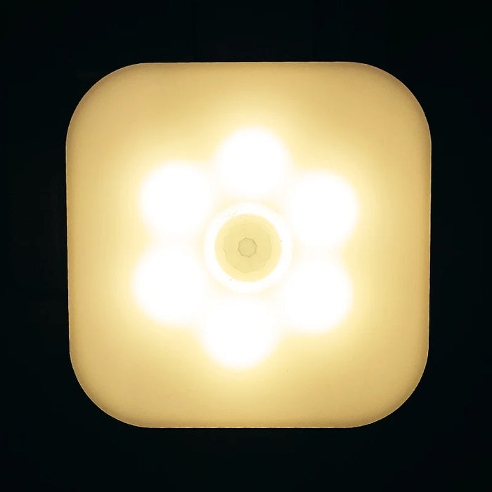 Motion Sensor Activated Wall Light