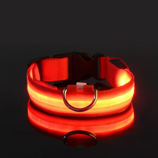 Glow In The Dark LED Dog Safety Collar