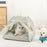 Pet Tent Bed