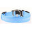 Pet LED Collar