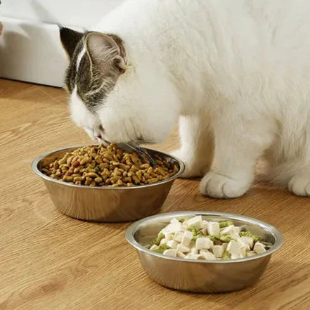 Stainless Steel Feeding Bowl