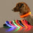 Glow In The Dark LED Dog Safety Collar