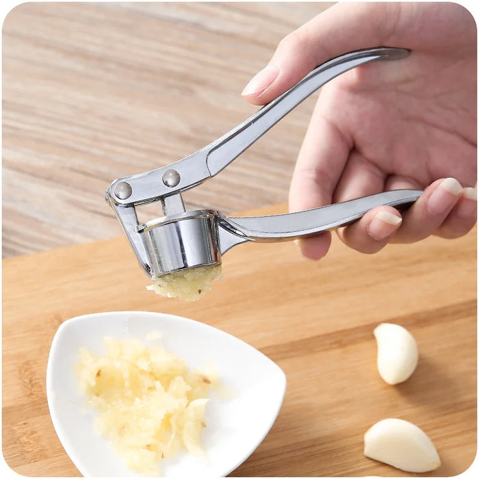 Stainless Steel Garlic Press