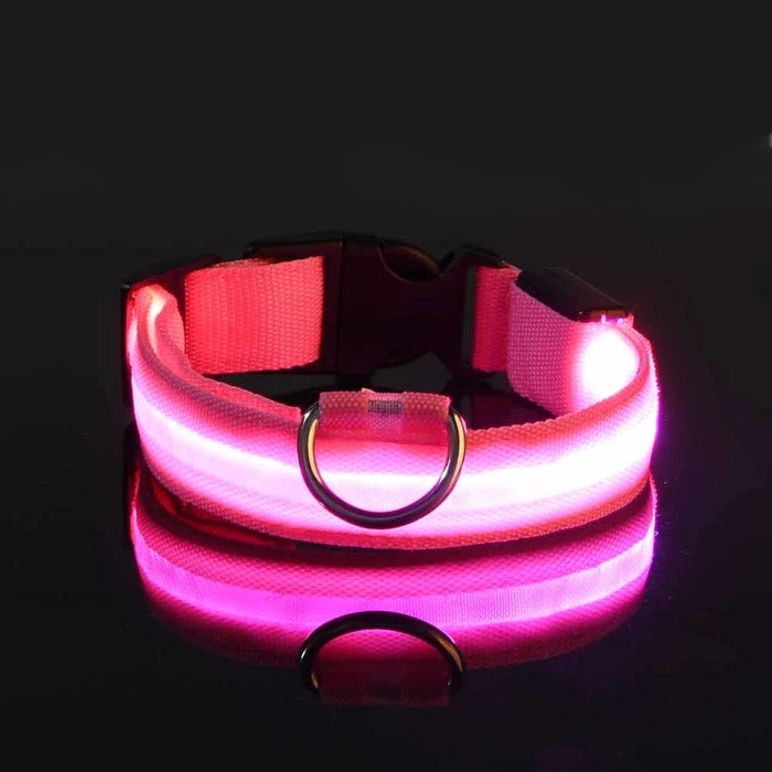 Glow In The Dark LED Dog Safety Collar