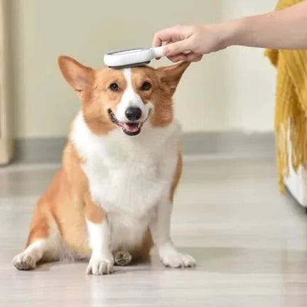 Creative Pet Grooming Comb